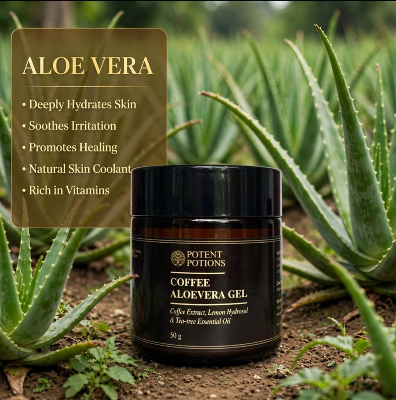 Aloe Vera