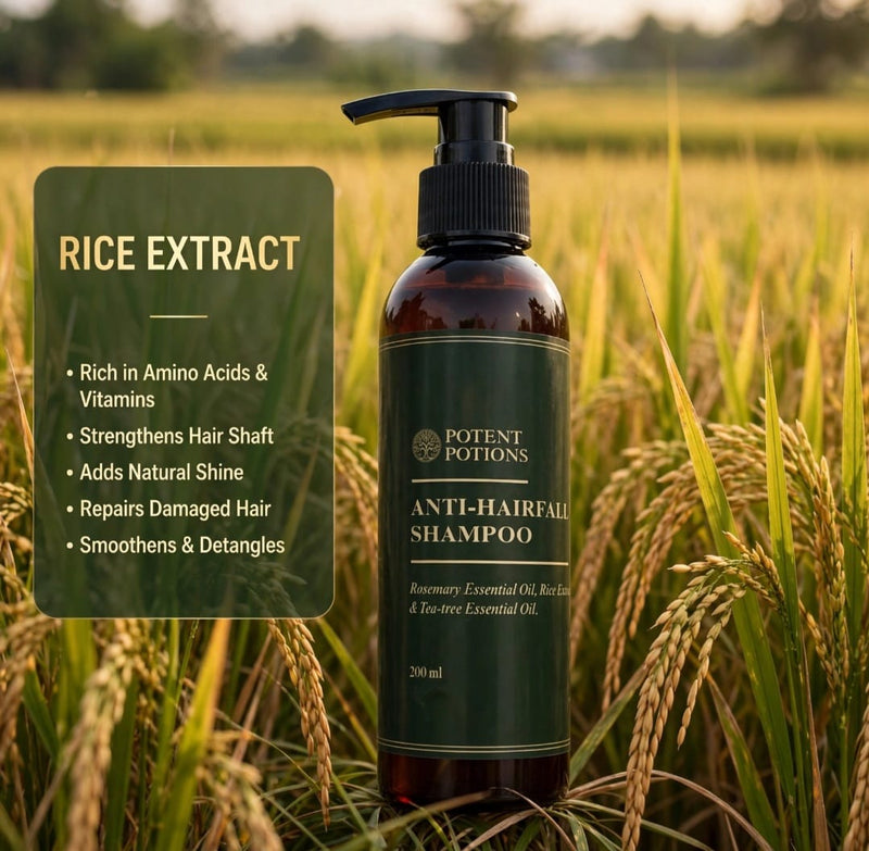 Rice Extract